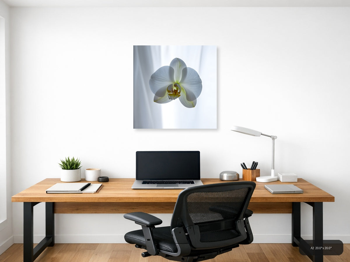 White Orchid Flower Minimalist Botanical Wall Art — A2 / Office
