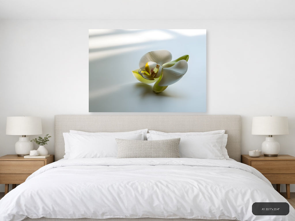 White Orchid with Yellow Center Minimalist Wall Art — A1 / Bedroom