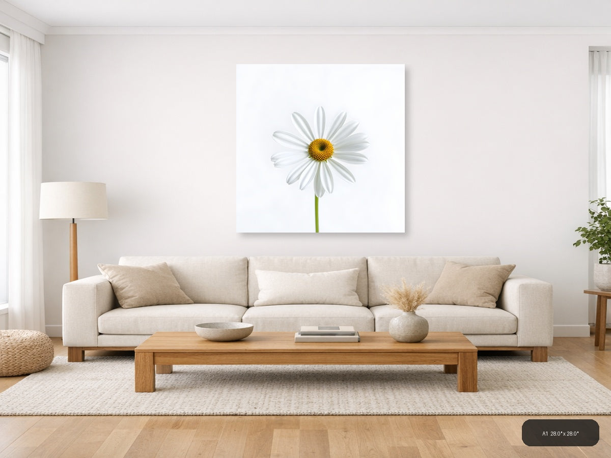 White Daisy with Yellow Center Minimalist Wall Art — A1 / Living Room