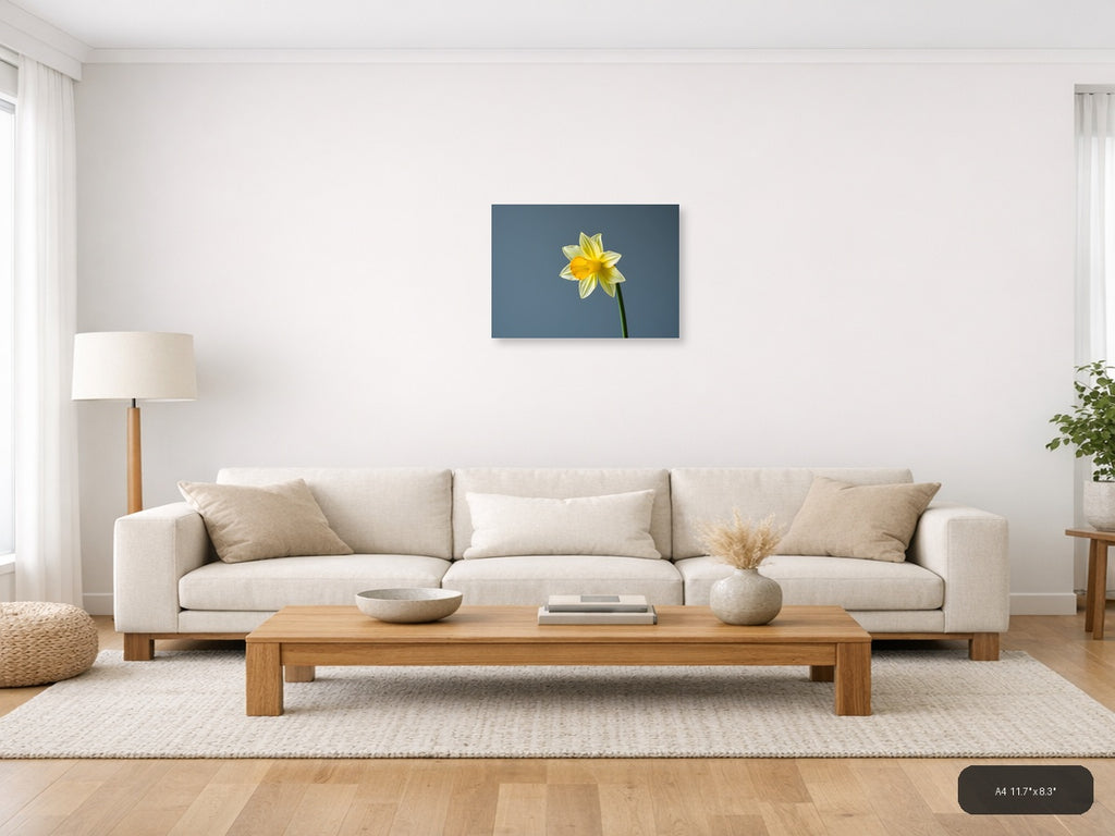 Yellow Daffodil Minimalist Flower Wall Art — A4 / Living Room