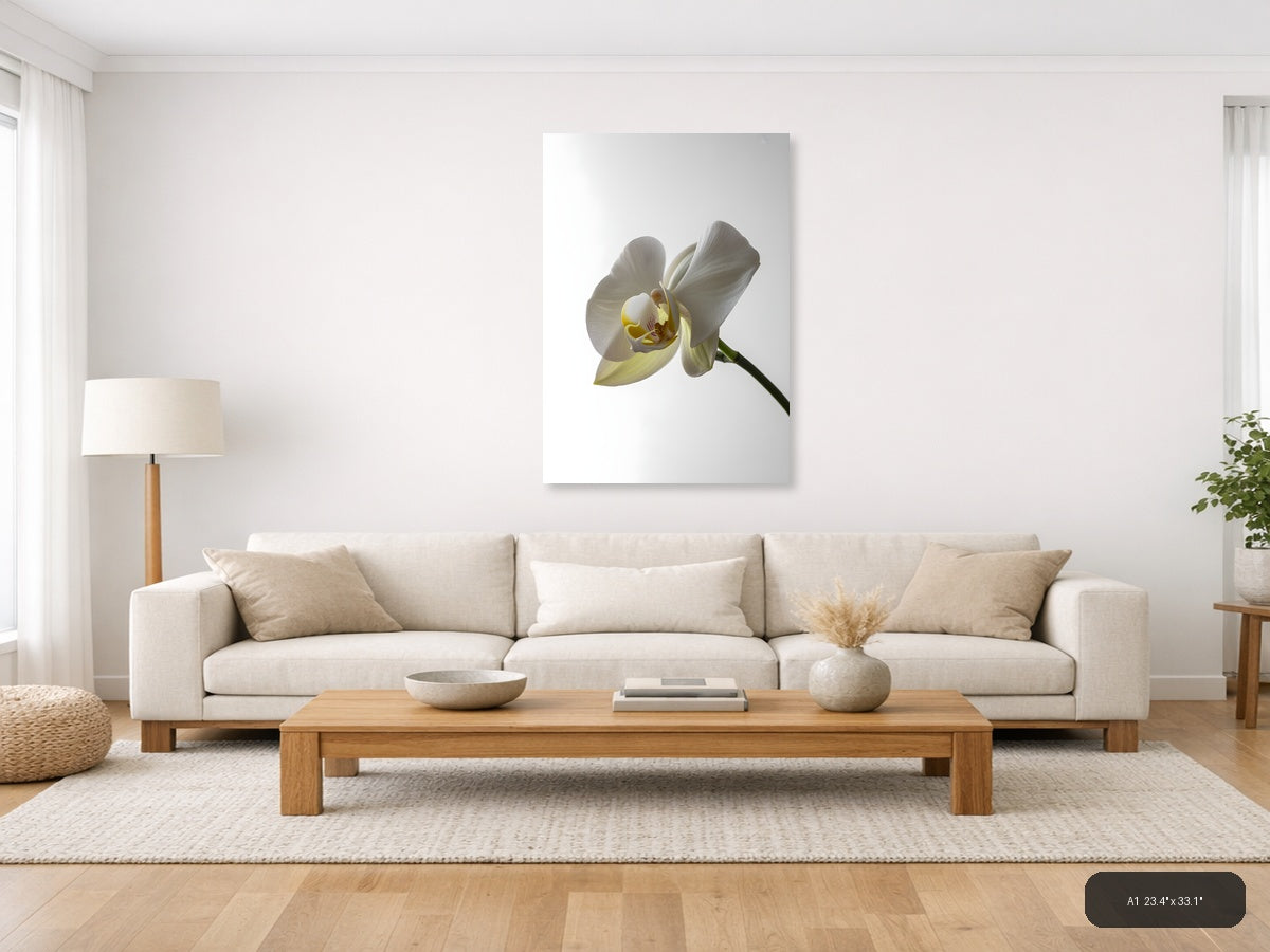 White Orchid Flower Minimalist Portrait Wall Art — A1 / Living Room