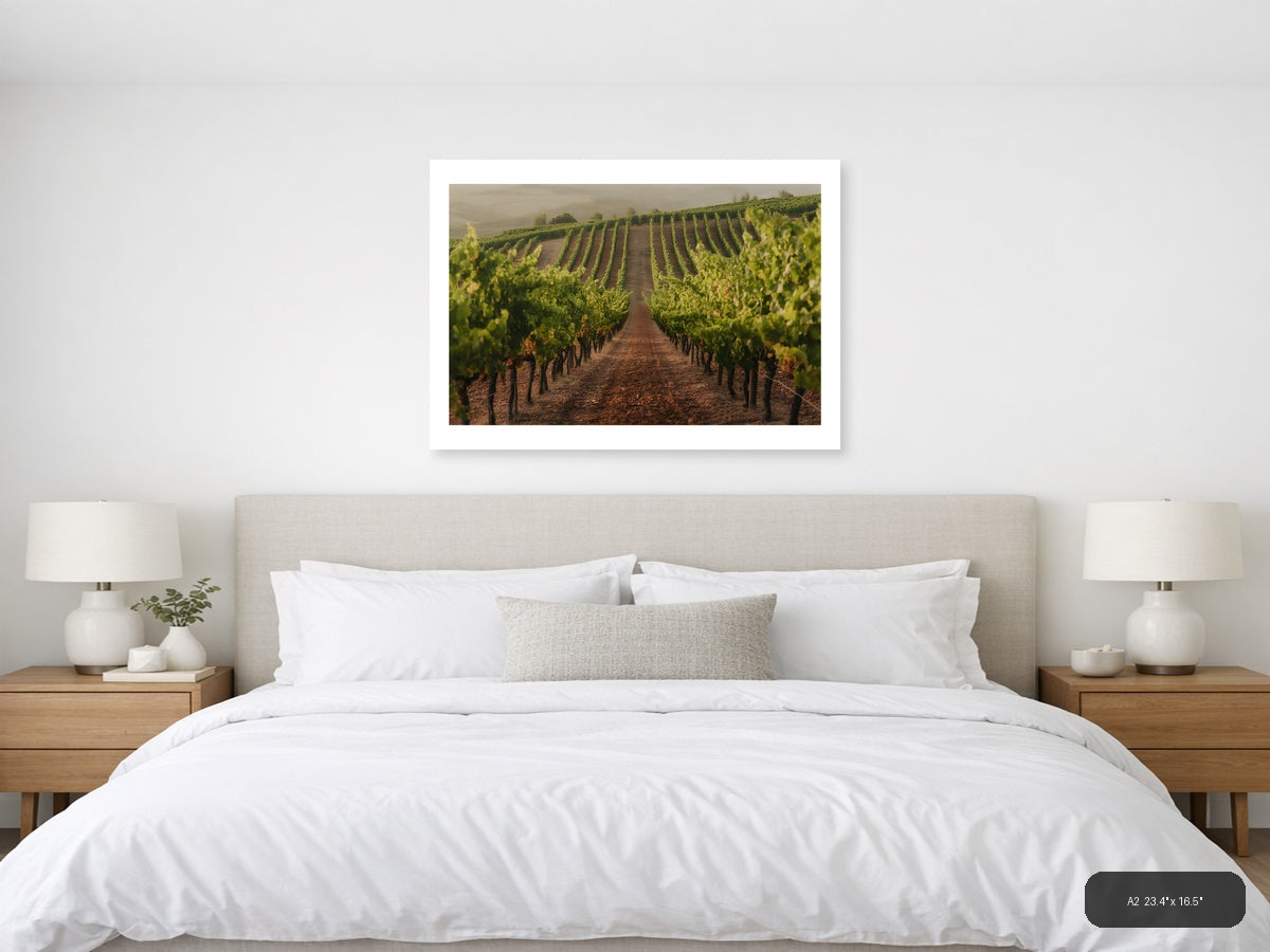 Misty Vineyard Rows Minimalist Landscape Wall Art — A2 / Bedroom