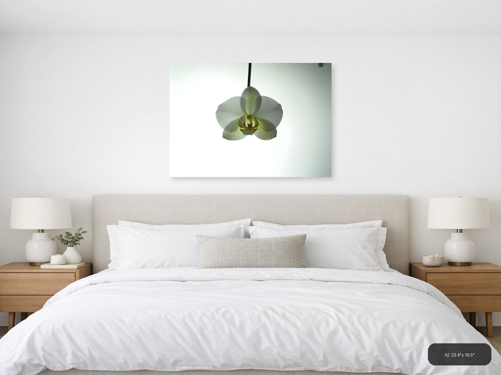 White Orchid Minimalist Botanical Wall Art — A2 / Bedroom