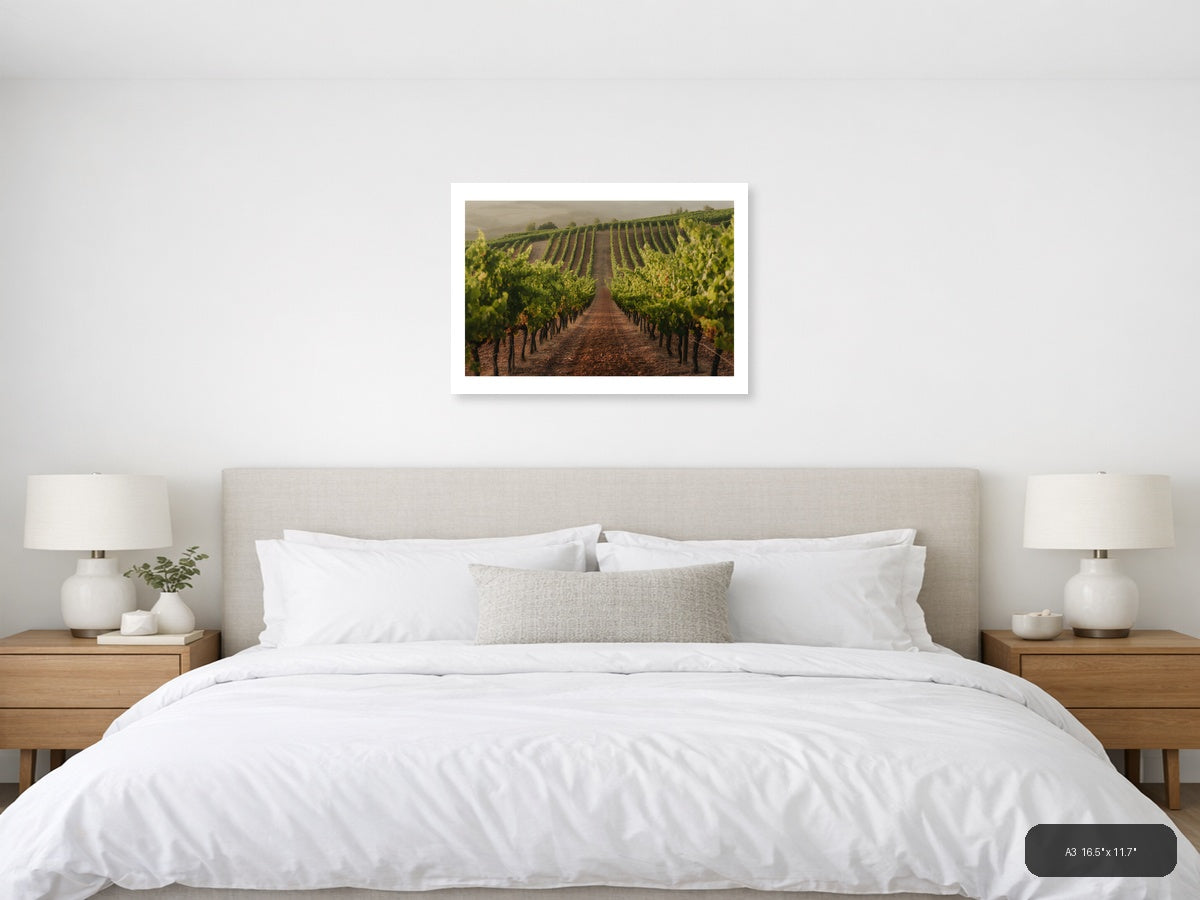 Misty Vineyard Rows Minimalist Landscape Wall Art — A3 / Bedroom