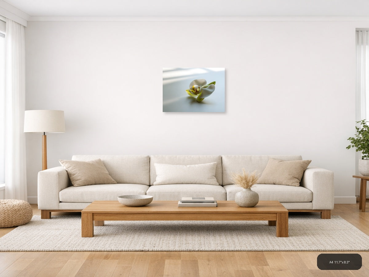 White Orchid with Yellow Detail Minimalist Wall Art — A4 / Living Room