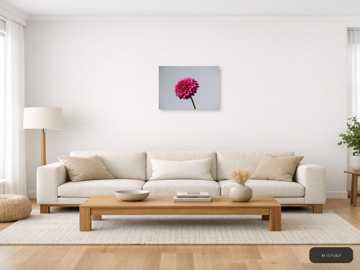 Pink Dahlia Minimalist Flower Wall Art — A4 / Living Room