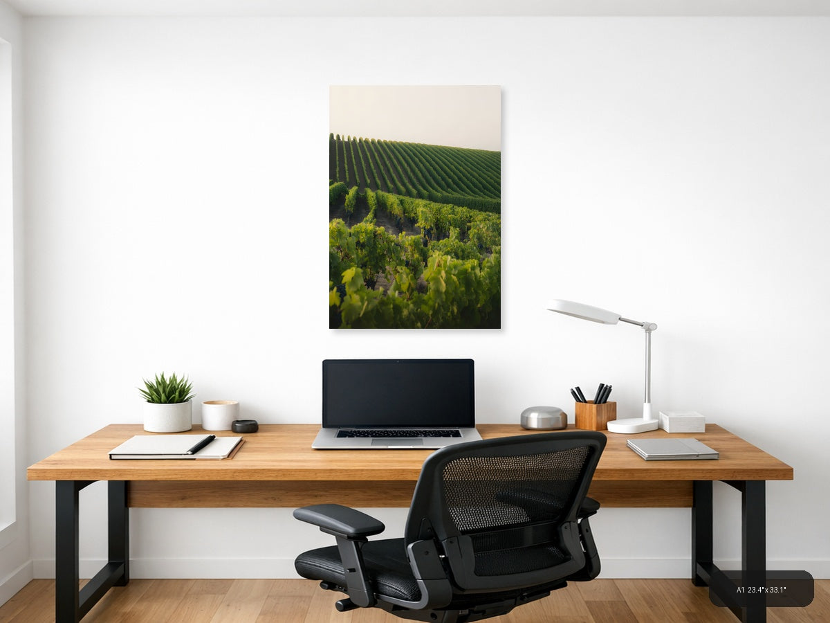 Rolling Vineyard Rows Minimalist Landscape Wall Art — A1 / Office