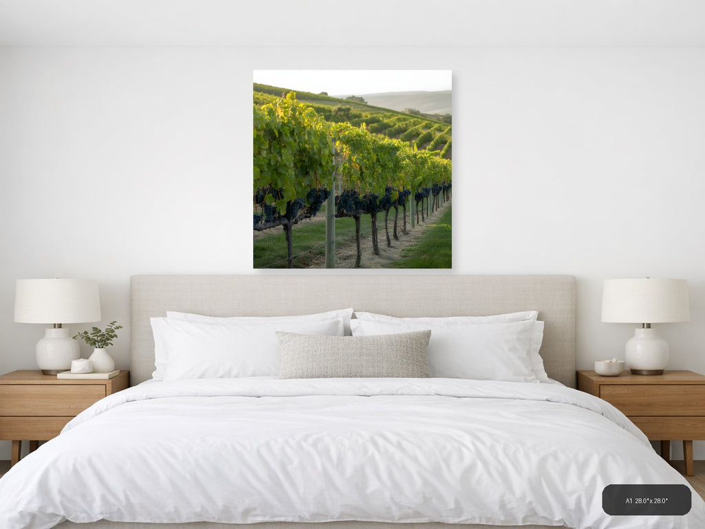 Vineyard Rows at Golden Hour - Minimalist Wall Art — A1 / Bedroom