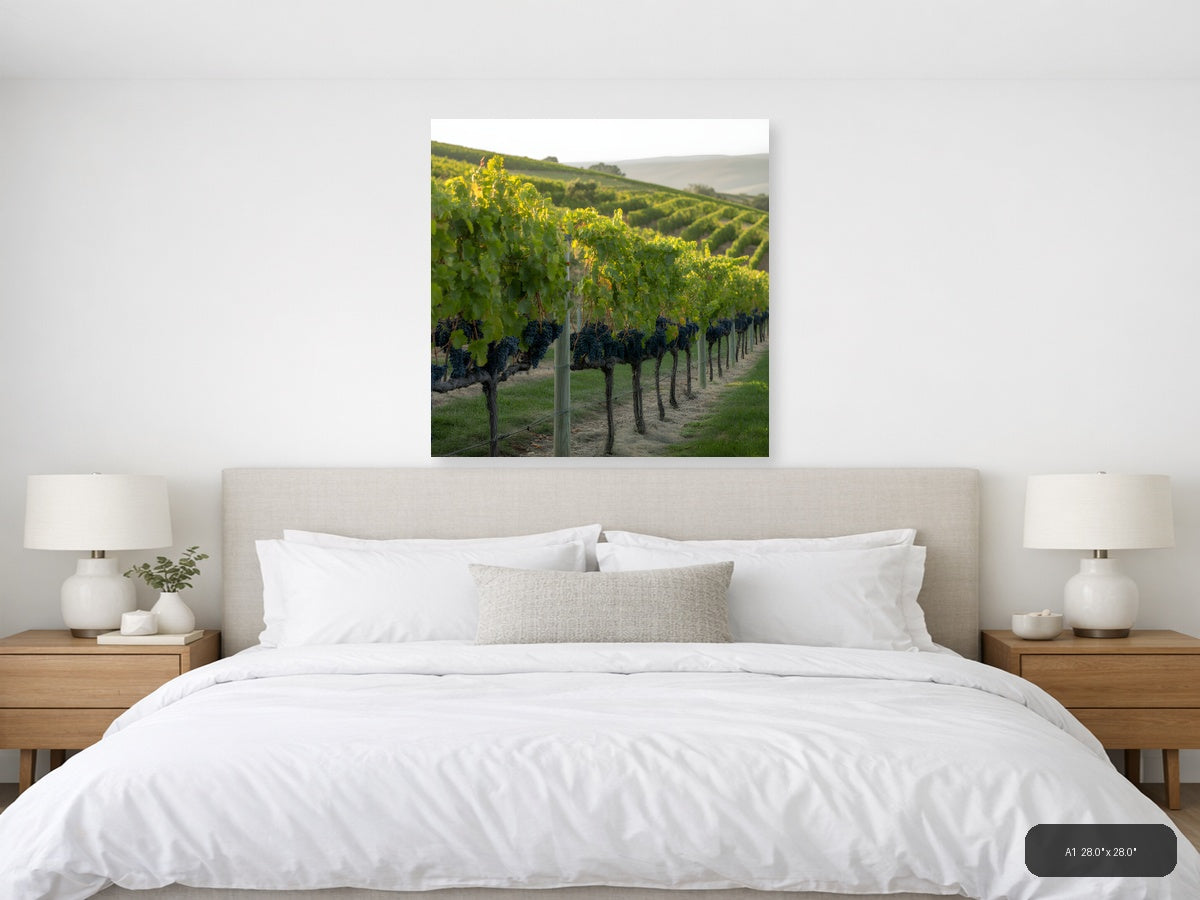 Vineyard Rows at Golden Hour - Minimalist Wall Art — A1 / Bedroom