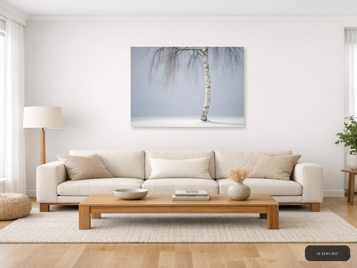 Minimalist Winter Birch Tree in Snow Landscape Wall Art — A2 / Living Room