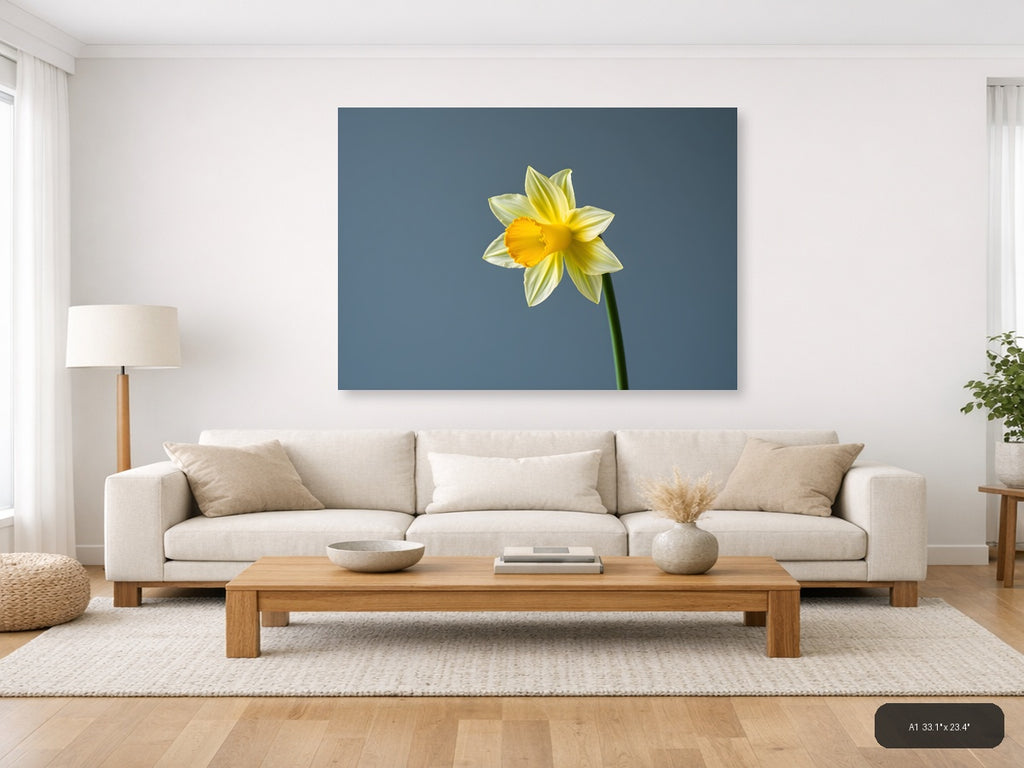 Yellow Daffodil Minimalist Flower Wall Art — A1 / Living Room