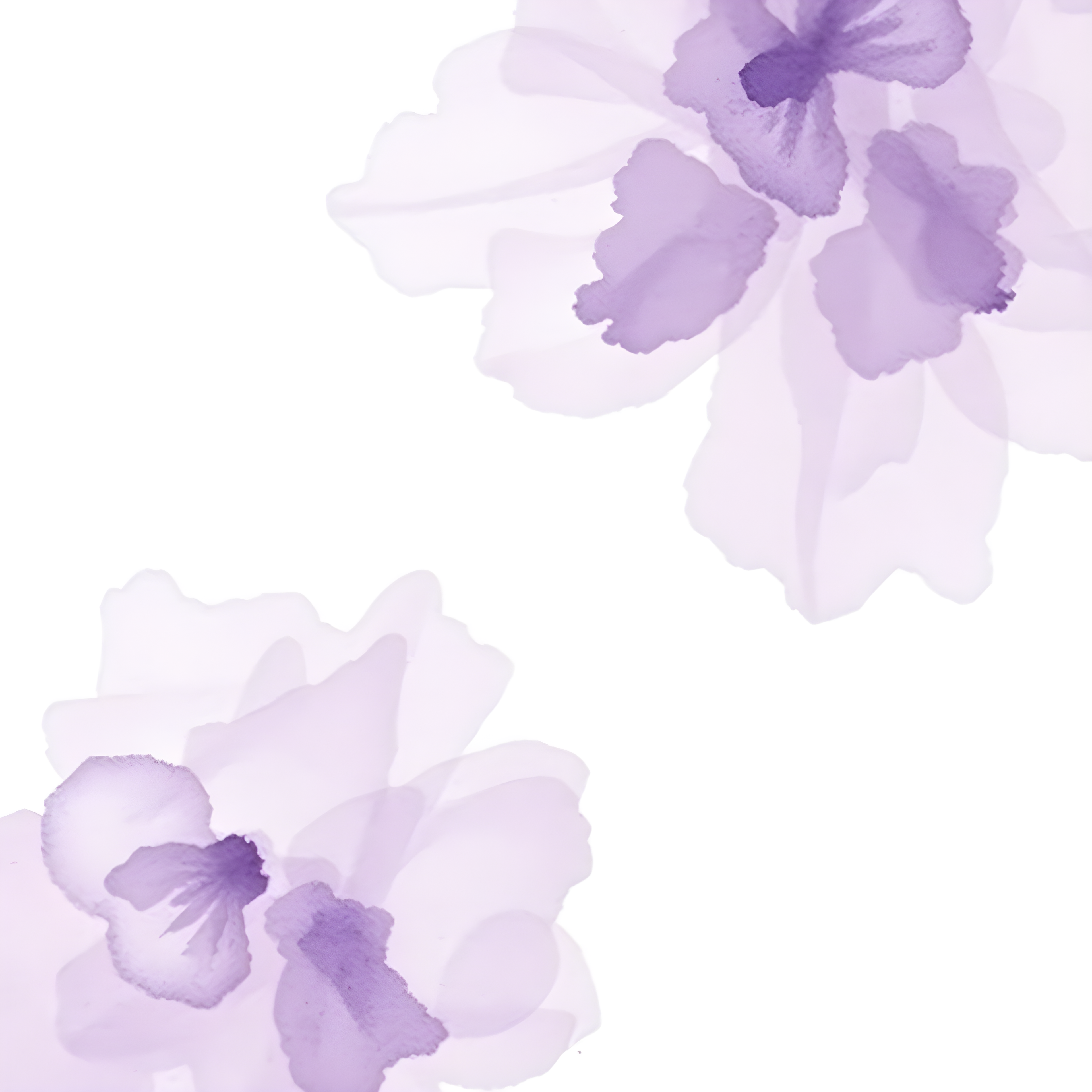 Purple Watercolor Orchids Floral Square Wall Art
