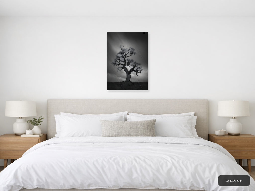 Bare Tree in Storm Rain Black and White Photography Wall Art — A2 / Bedroom