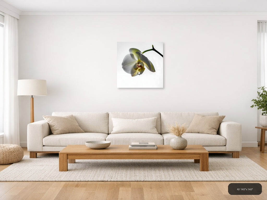 White Orchid Flower Minimalist Botanical Wall Art — A3 / Living Room