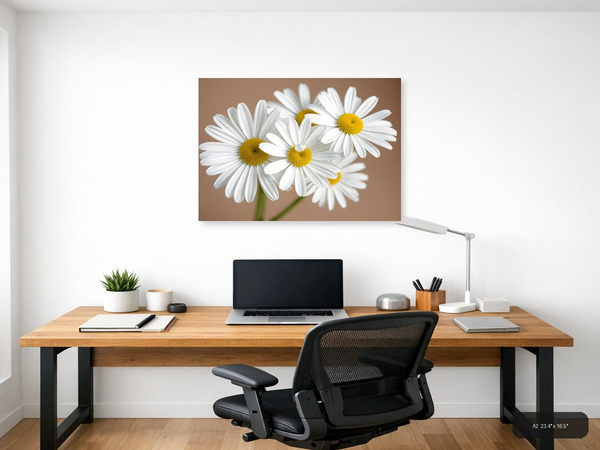 White Daisies with Yellow Centers Minimalist Wall Art — A2 / Office