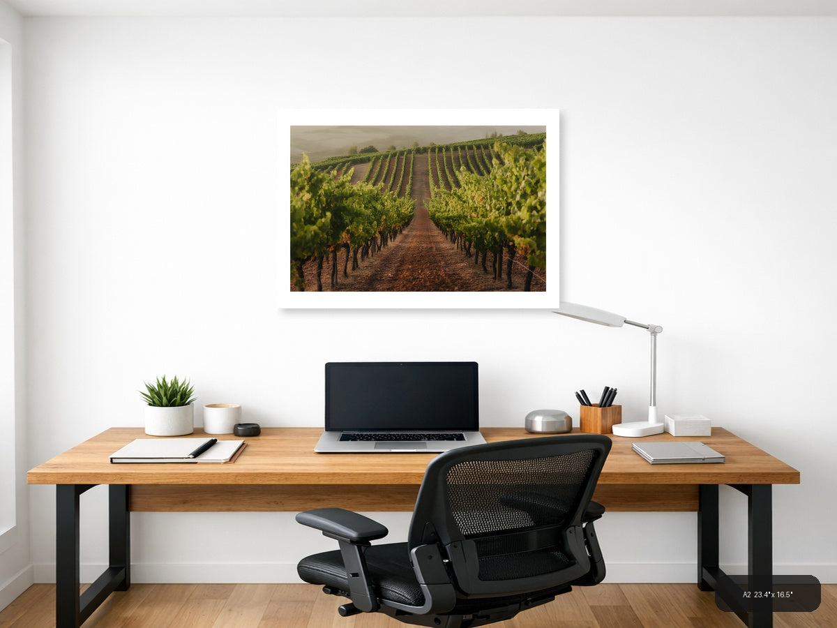 Misty Vineyard Rows Minimalist Landscape Wall Art — A2 / Office