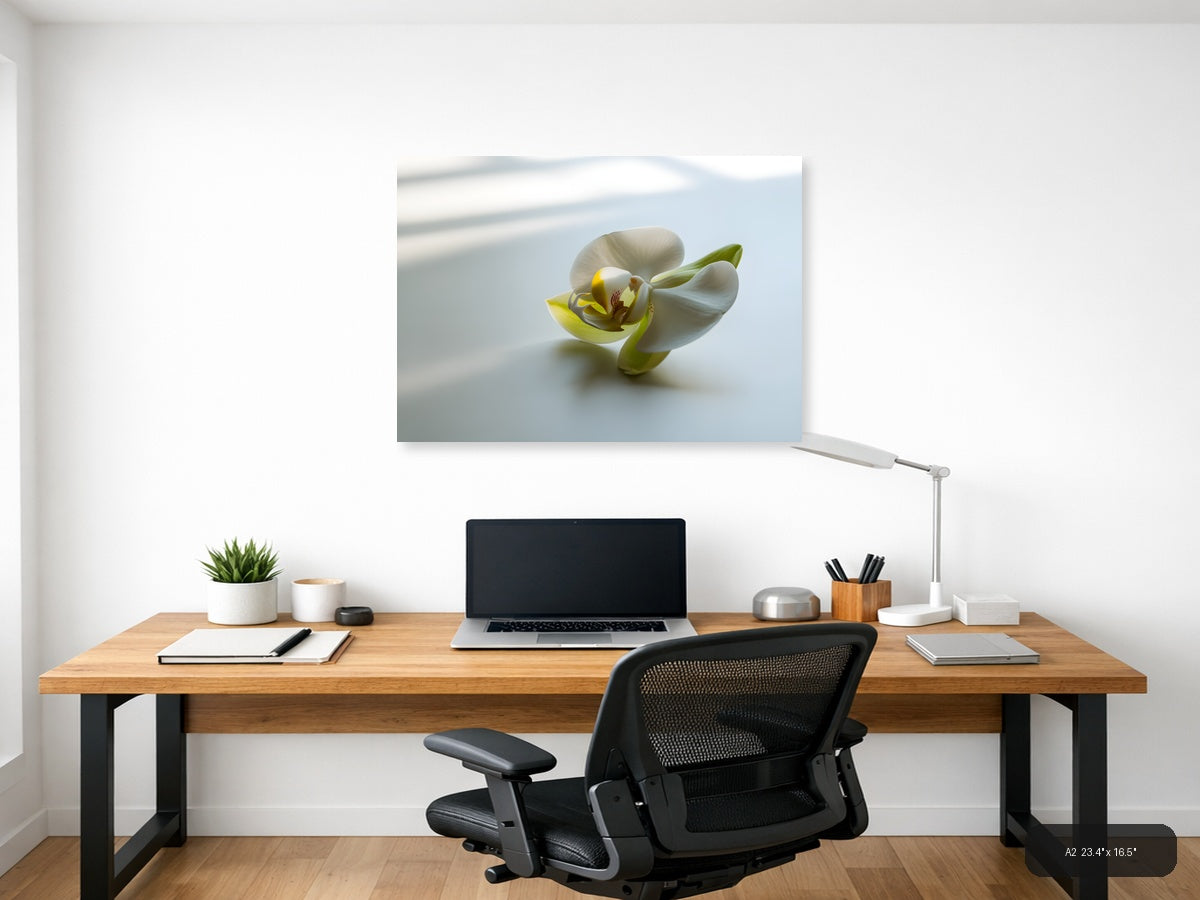 White Orchid with Yellow Detail Minimalist Wall Art — A2 / Office