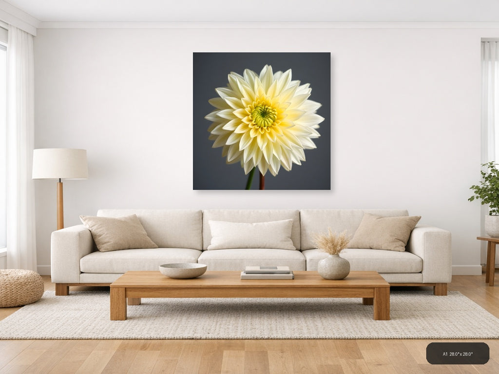 Yellow and White Dahlia Flower Minimalist Wall Art — A1 / Living Room
