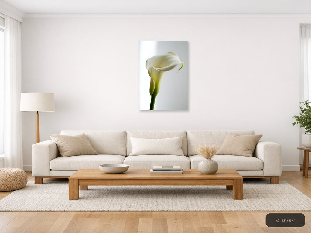 White Calla Lily Minimalist Flower Wall Art — A2 / Living Room