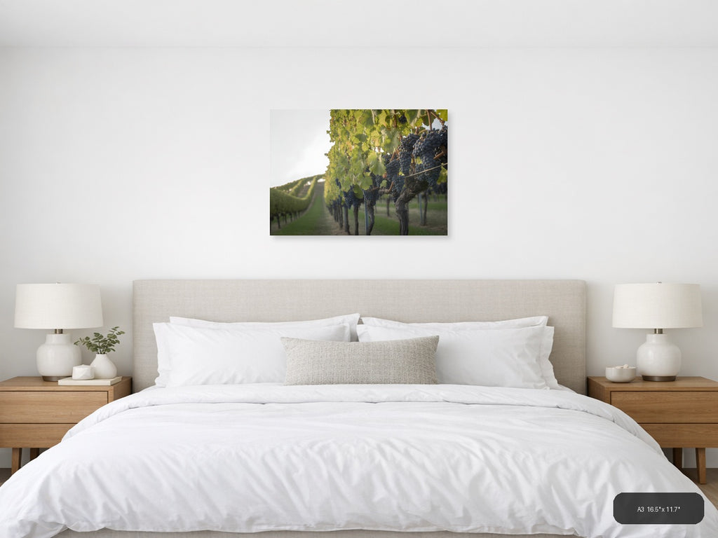 Vineyard Rows Minimalist Landscape Wall Art — A3 / Bedroom