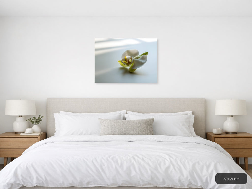 White Orchid with Yellow Center Minimalist Wall Art — A3 / Bedroom
