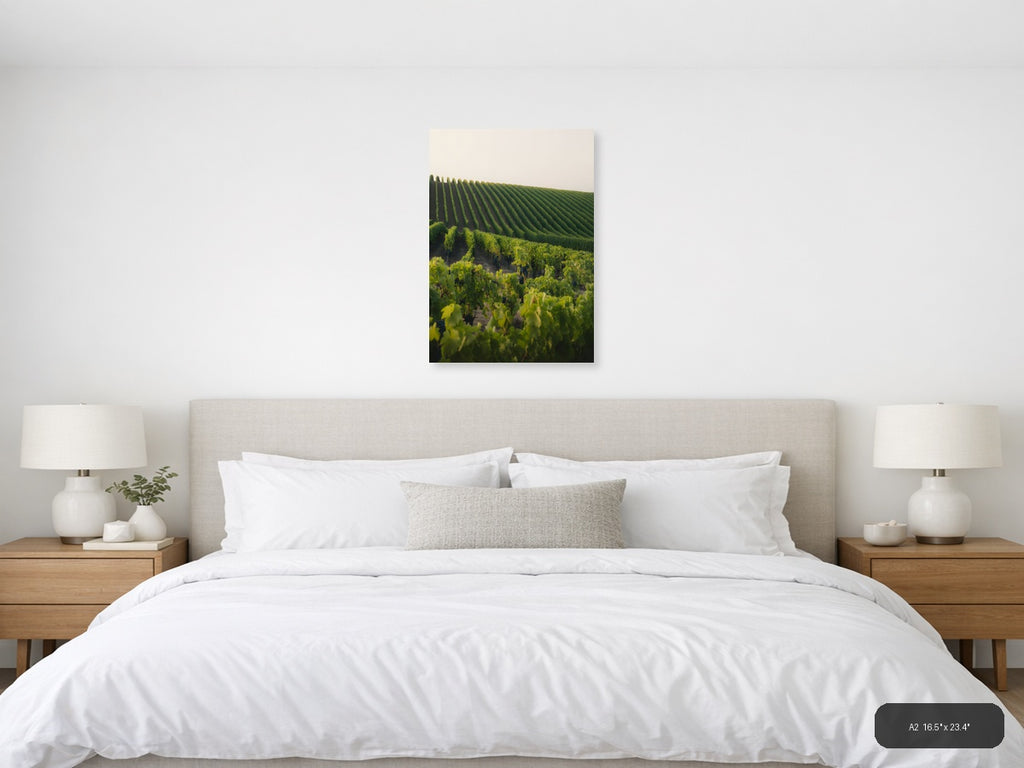 Rolling Vineyard Rows Minimalist Landscape Wall Art — A2 / Bedroom