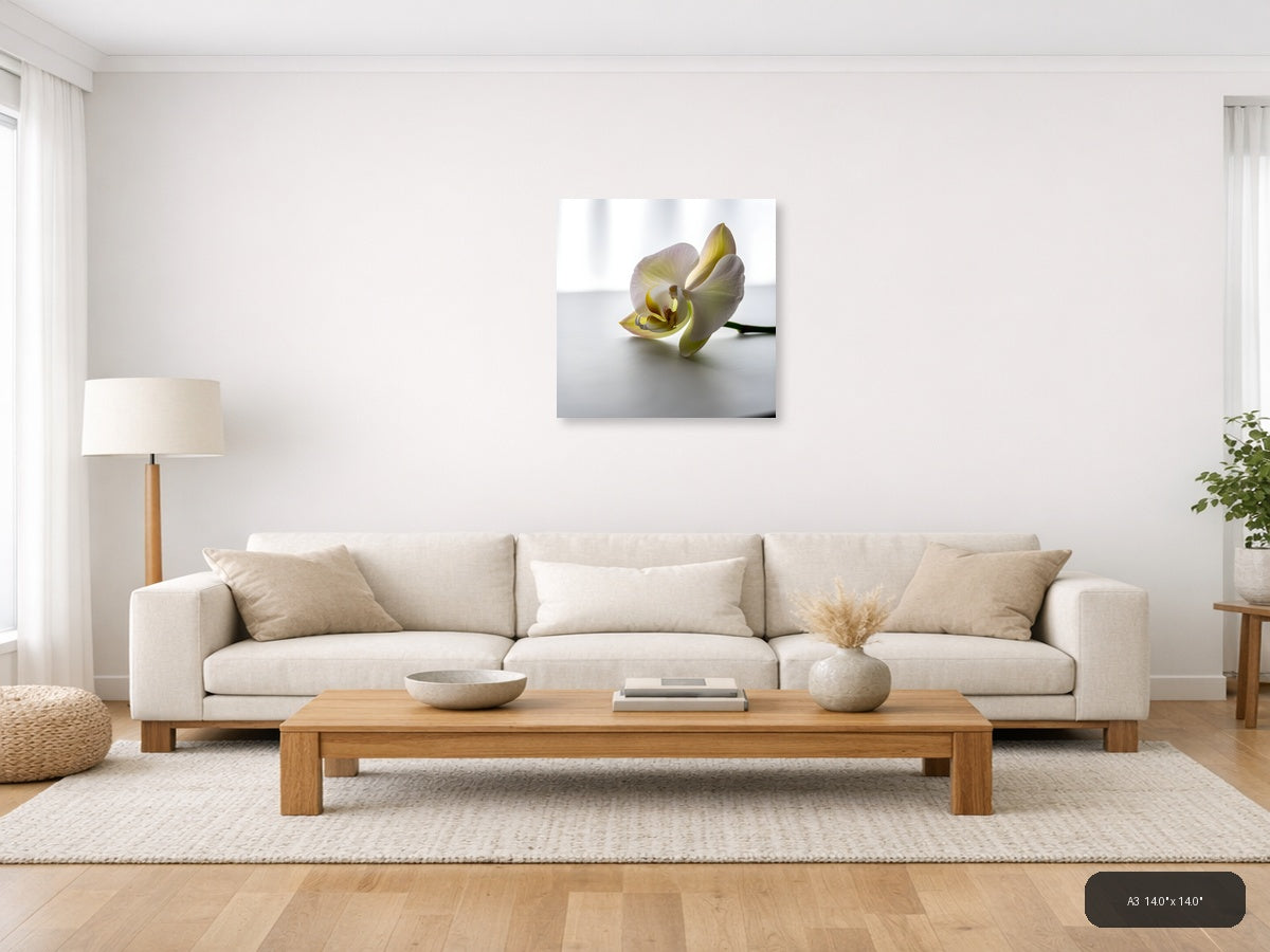 Minimalist Yellow Orchid Flower Wall Art — A3 / Living Room