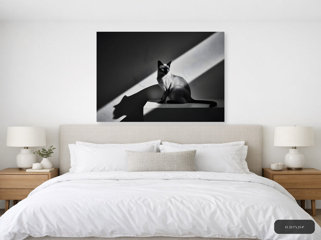 Siamese Cat in Sunlight - Black White Photography Wall Art — A1 / Bedroom