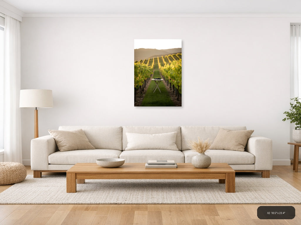 Vineyard Harvest Minimalist Photography Wall Art — A2 / Living Room