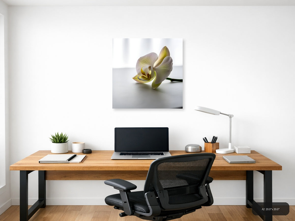 Minimalist Yellow Orchid Flower Wall Art — A2 / Office