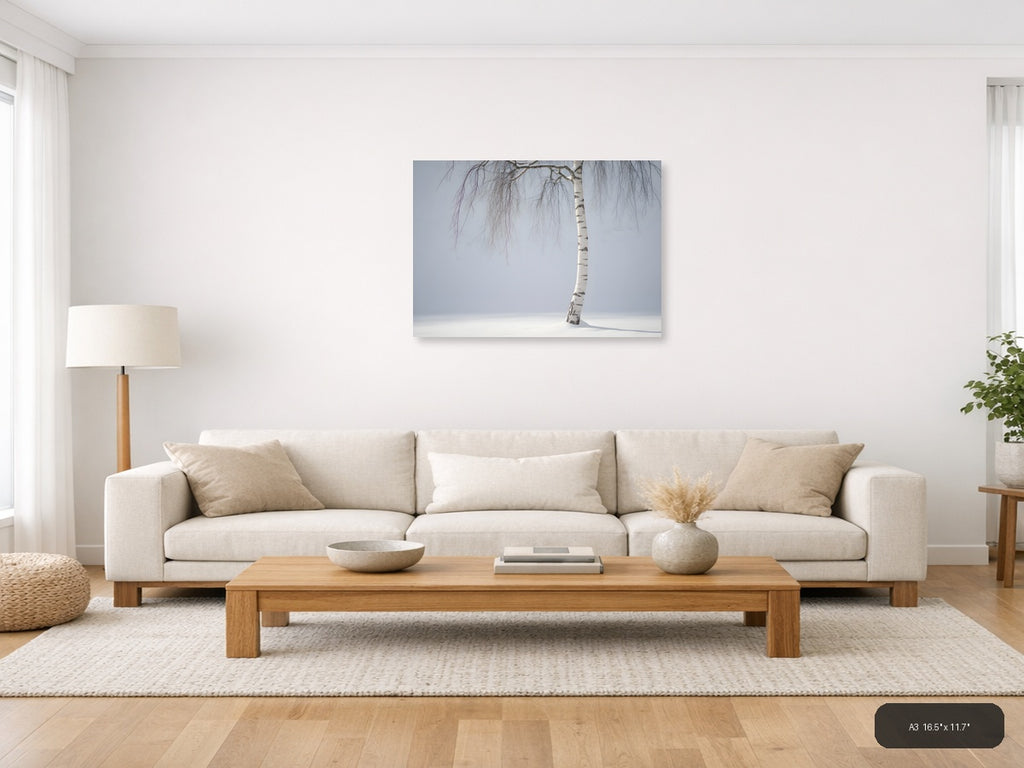Minimalist Winter Birch Tree in Snow Landscape Wall Art — A3 / Living Room