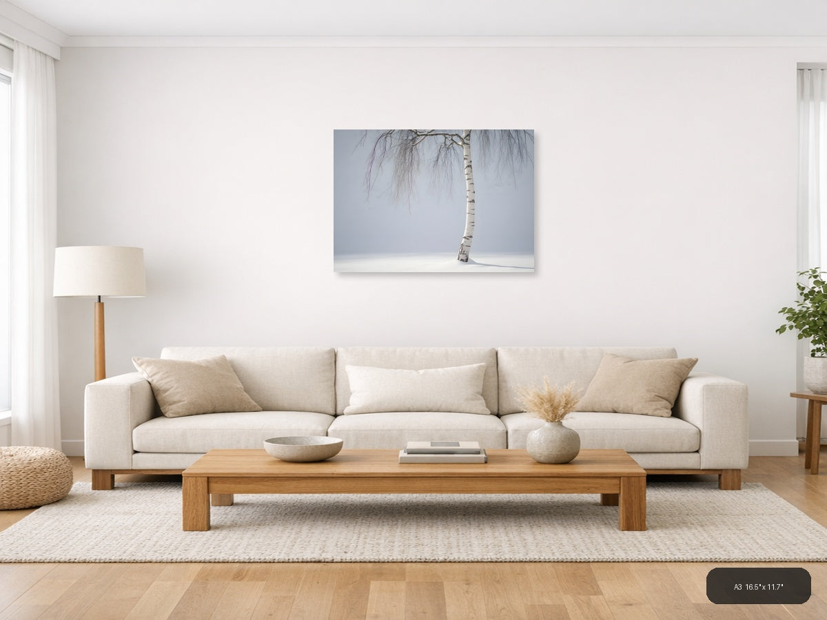 Minimalist Winter Birch Tree in Snow Landscape Wall Art — A3 / Living Room