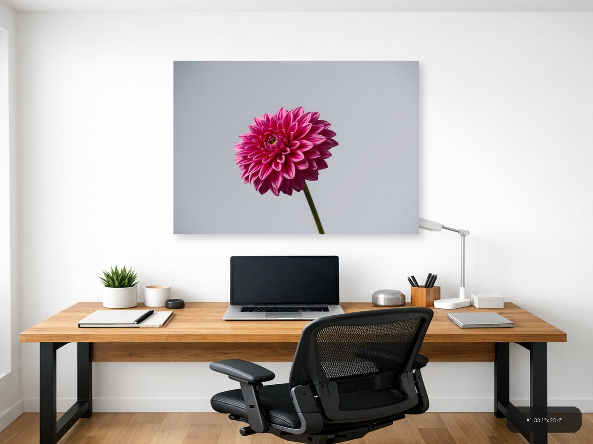 Pink Dahlia Minimalist Flower Wall Art — A1 / Office