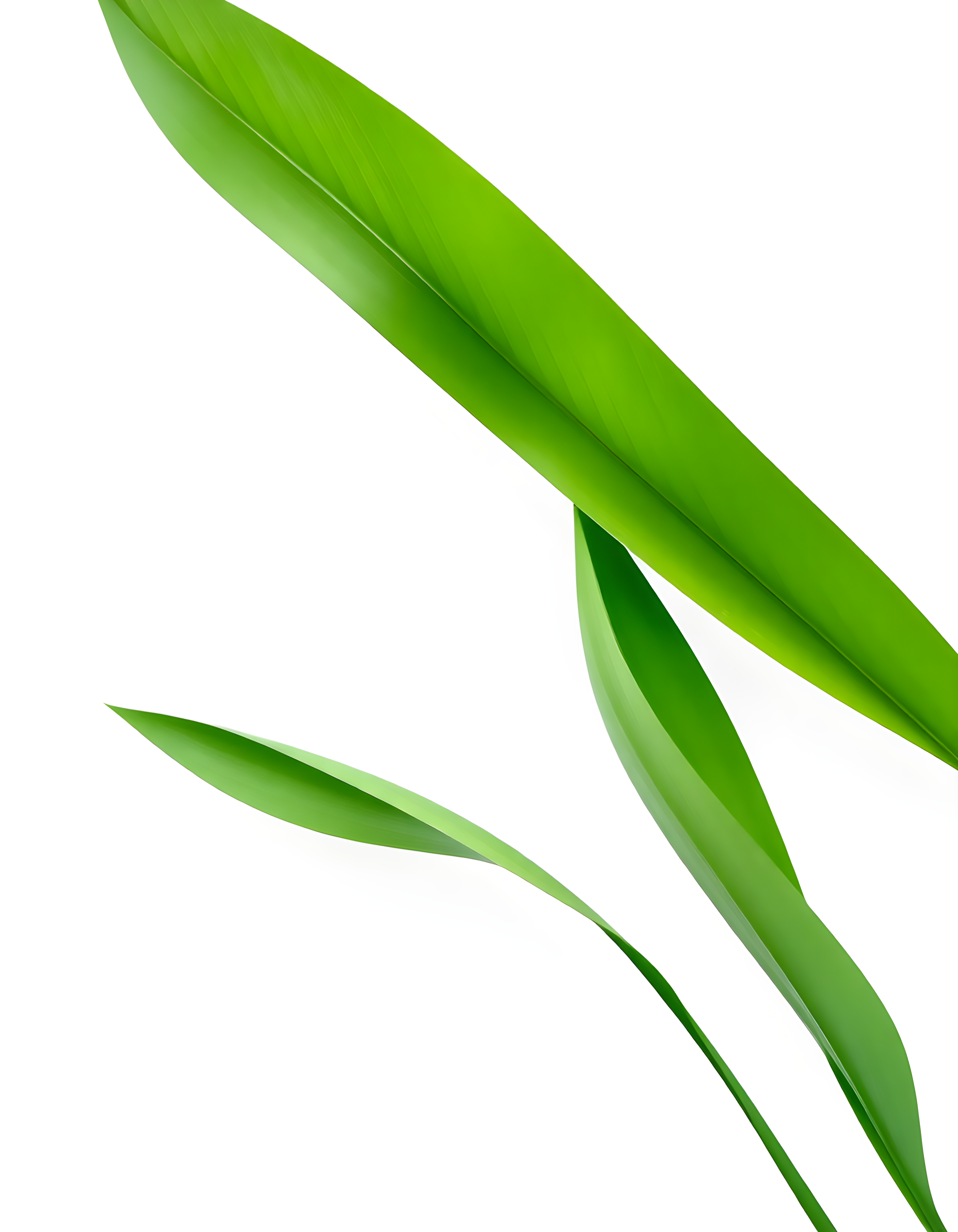 Minimalist Green Leaves Portrait Wall Art