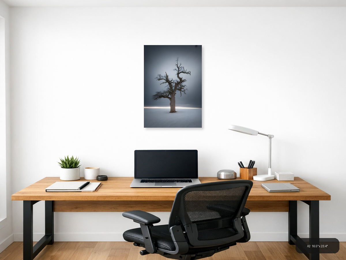 Bare Dead Tree in Snow Storm Photography Wall Art — A2 / Office