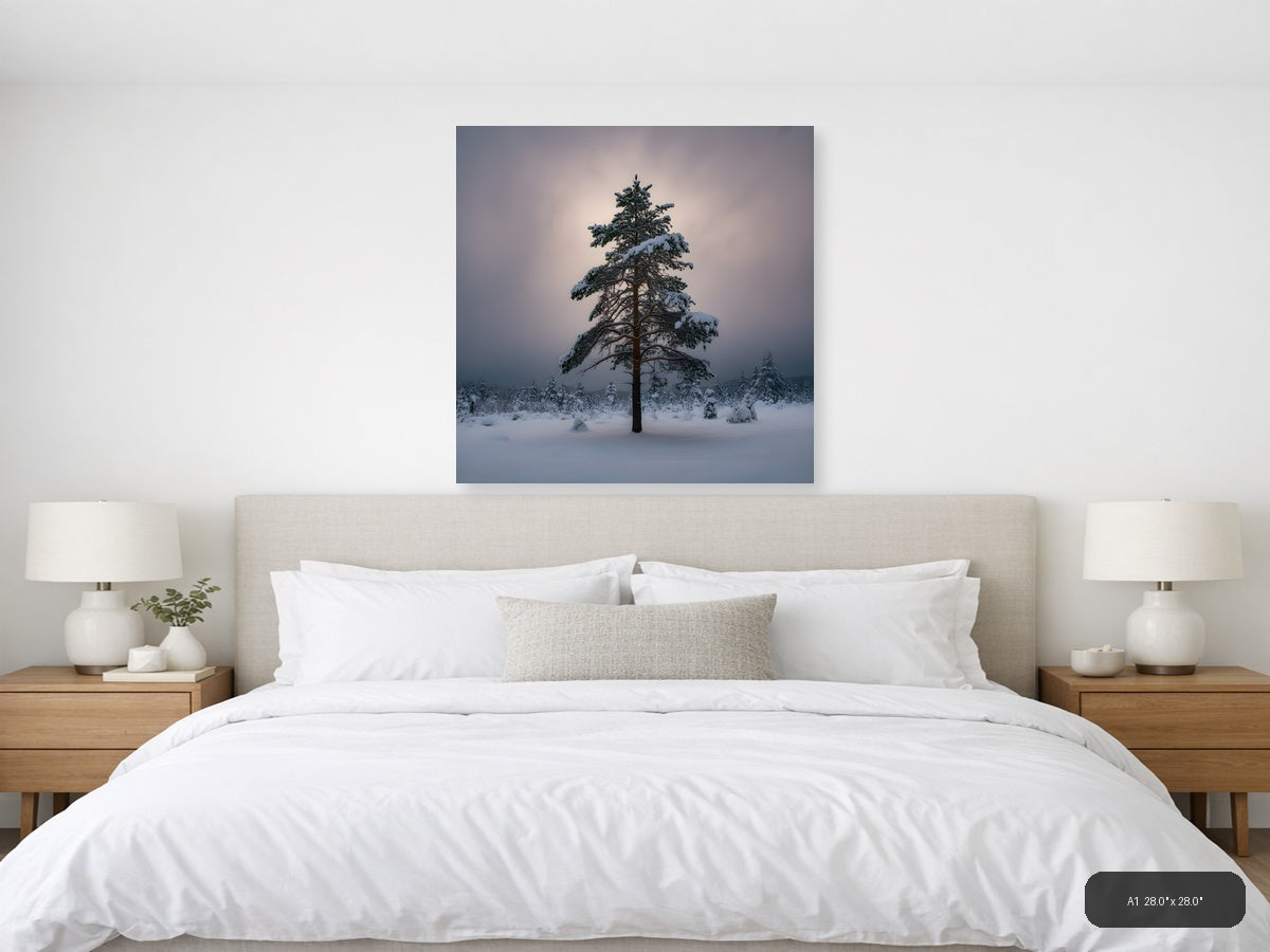 Snow-Covered Pine Tree Winter Forest Photography Wall Art — A1 / Bedroom