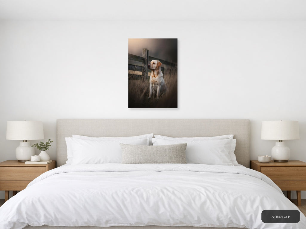 Golden Labrador by Rustic Fence Photography Wall Art — A2 / Bedroom