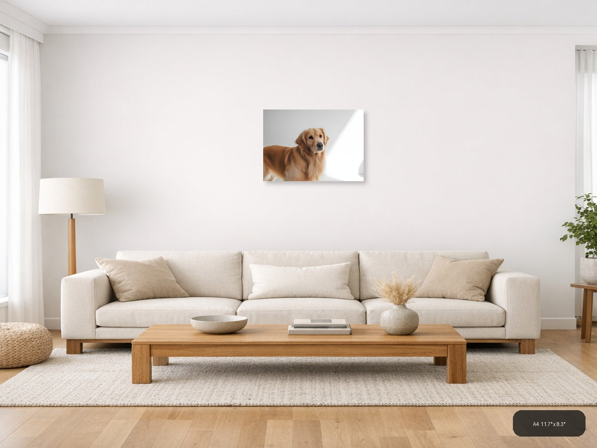 Golden Retriever Portrait Minimalist Wall Art — A4 / Living Room