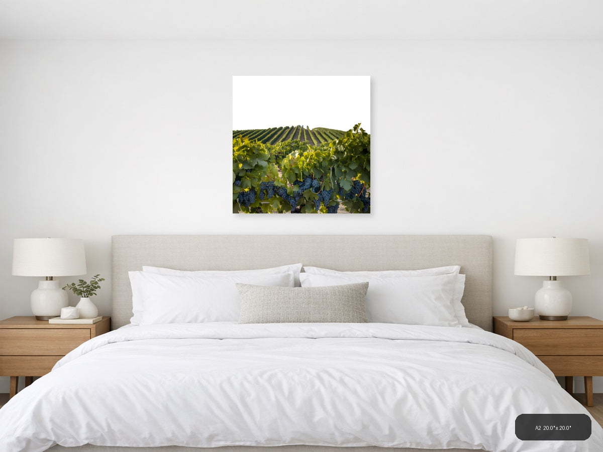 Vineyard Harvest Landscape Minimalist Wall Art — A2 / Bedroom