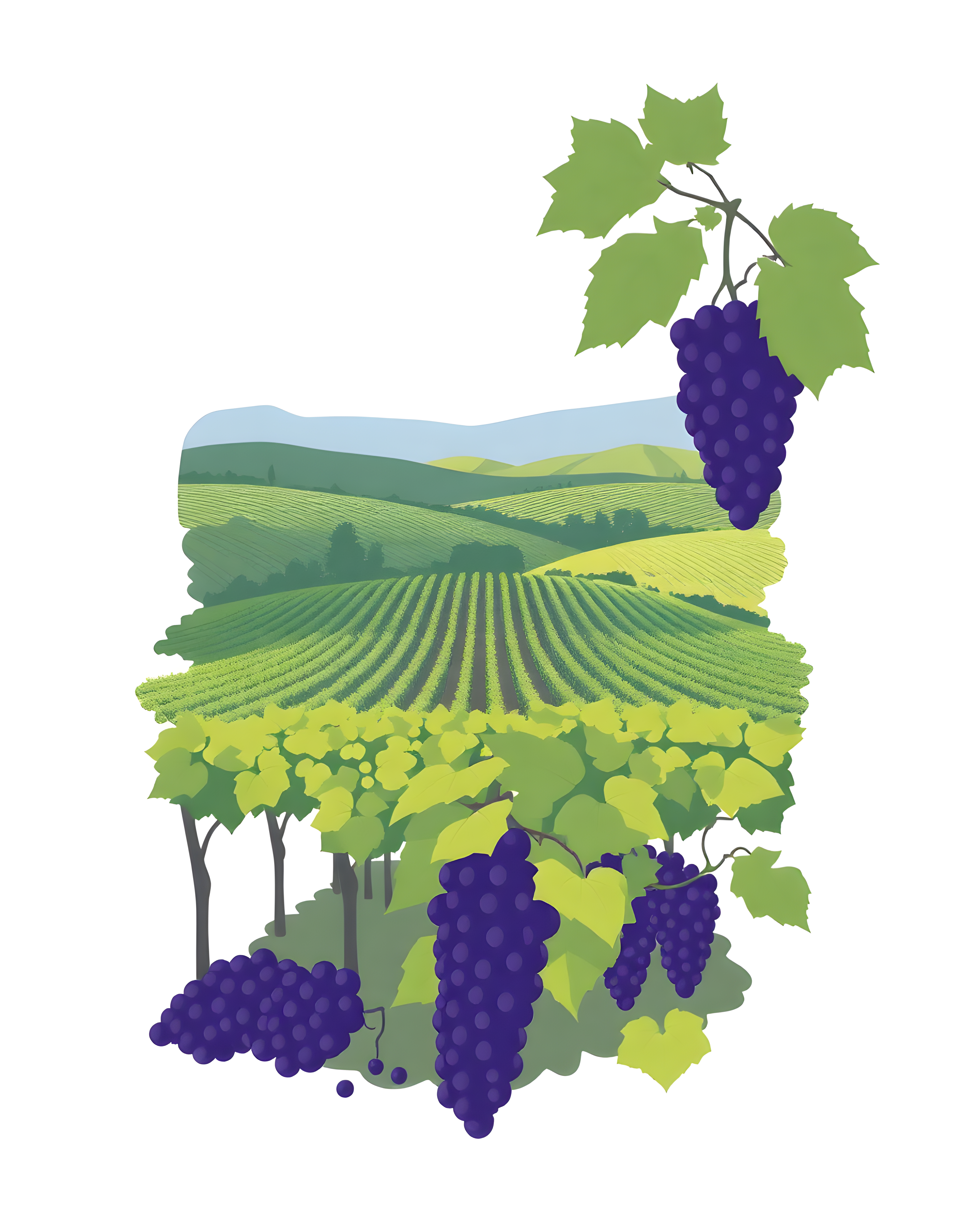 Minimalist Vineyard Landscape with Purple Grapes Wall Art