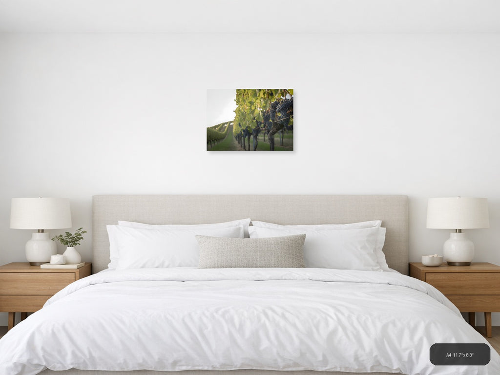 Vineyard Rows Minimalist Landscape Wall Art — A4 / Bedroom