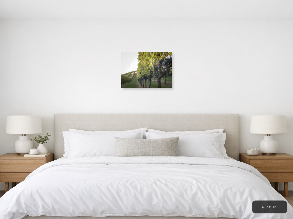 Vineyard Rows Minimalist Landscape Wall Art — A4 / Bedroom