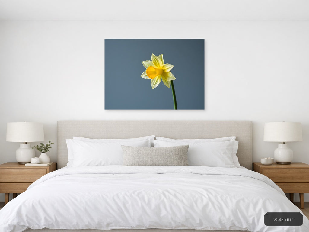 Yellow Daffodil Minimalist Flower Wall Art — A2 / Bedroom