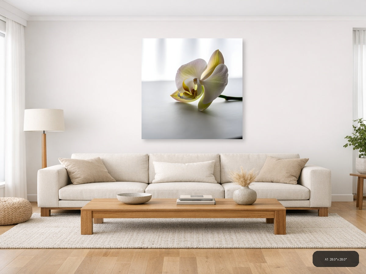 Minimalist Yellow Orchid Flower Wall Art — A1 / Living Room