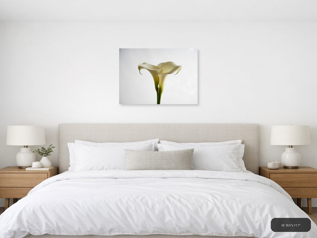 White Calla Lily Minimalist Botanical Wall Art — A3 / Bedroom