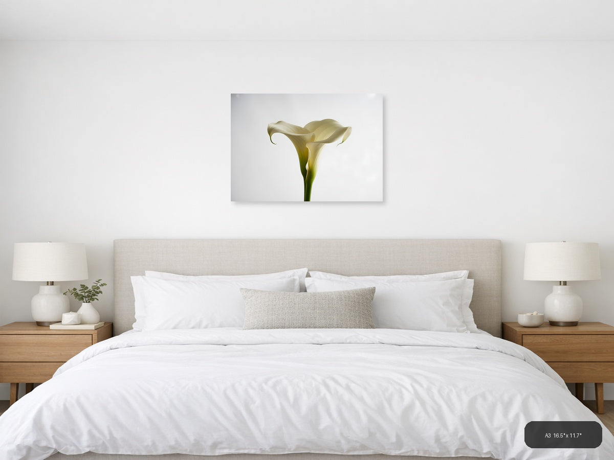 White Calla Lily Minimalist Botanical Wall Art — A3 / Bedroom