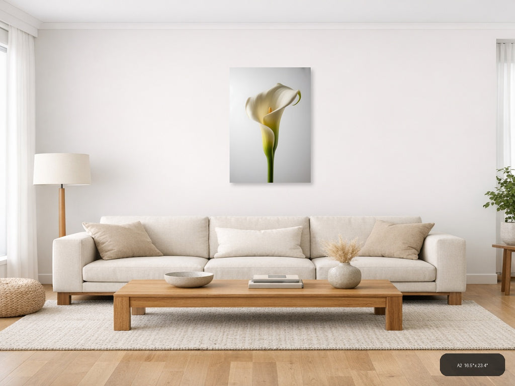 White Calla Lily Minimalist Botanical Wall Art — A2 / Living Room