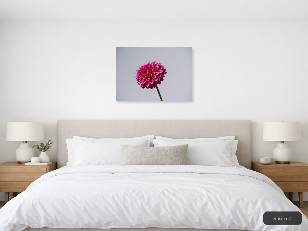 Pink Dahlia Minimalist Flower Wall Art — A3 / Bedroom