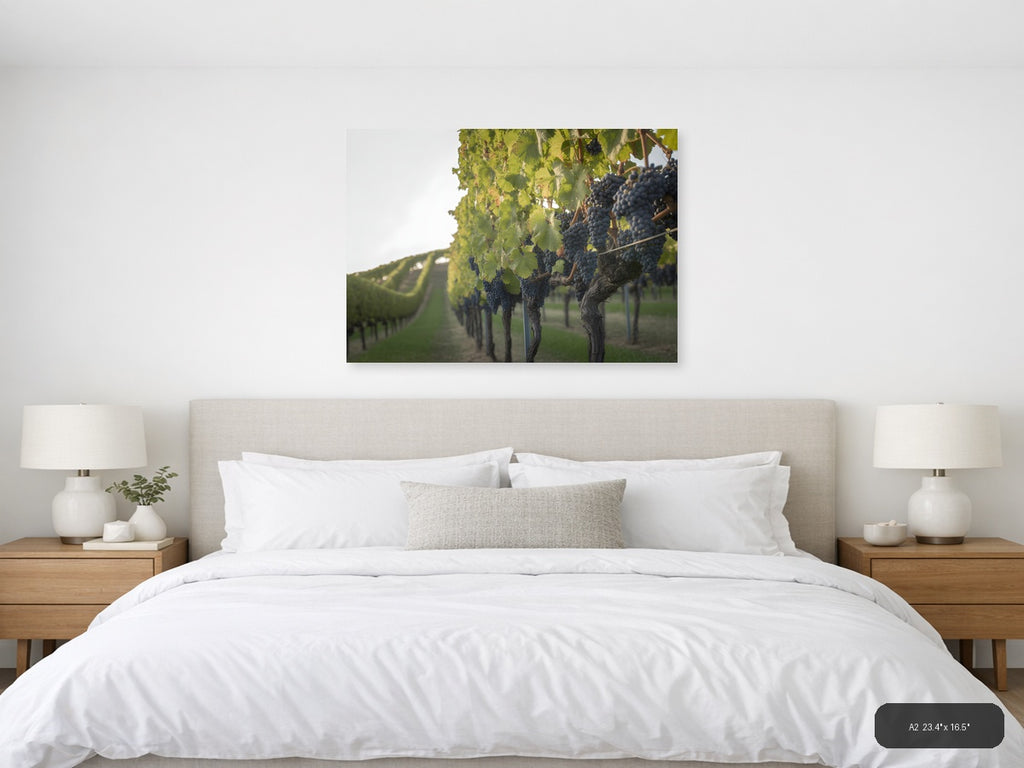 Vineyard Rows Minimalist Landscape Wall Art — A2 / Bedroom