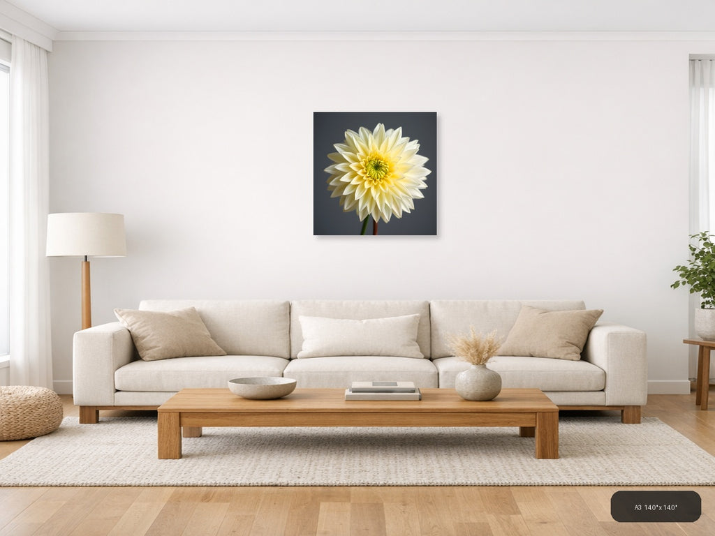 Yellow and White Dahlia Flower Minimalist Wall Art — A3 / Living Room